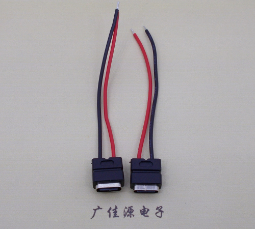 郴州type c2p防水母座焊线式带线注塑成型带接线端子/不带接线端子充电连接器